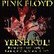 Pink Floyd Yeeshkul!