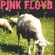 Pink Floyd Dogs and Sheep