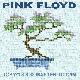 Pink Floyd Tokyo 3.3.88 Master TC-D5M